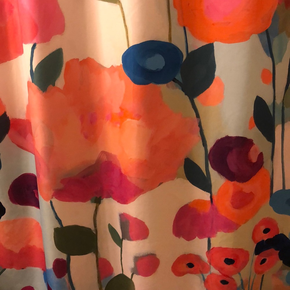 Shower curtain
